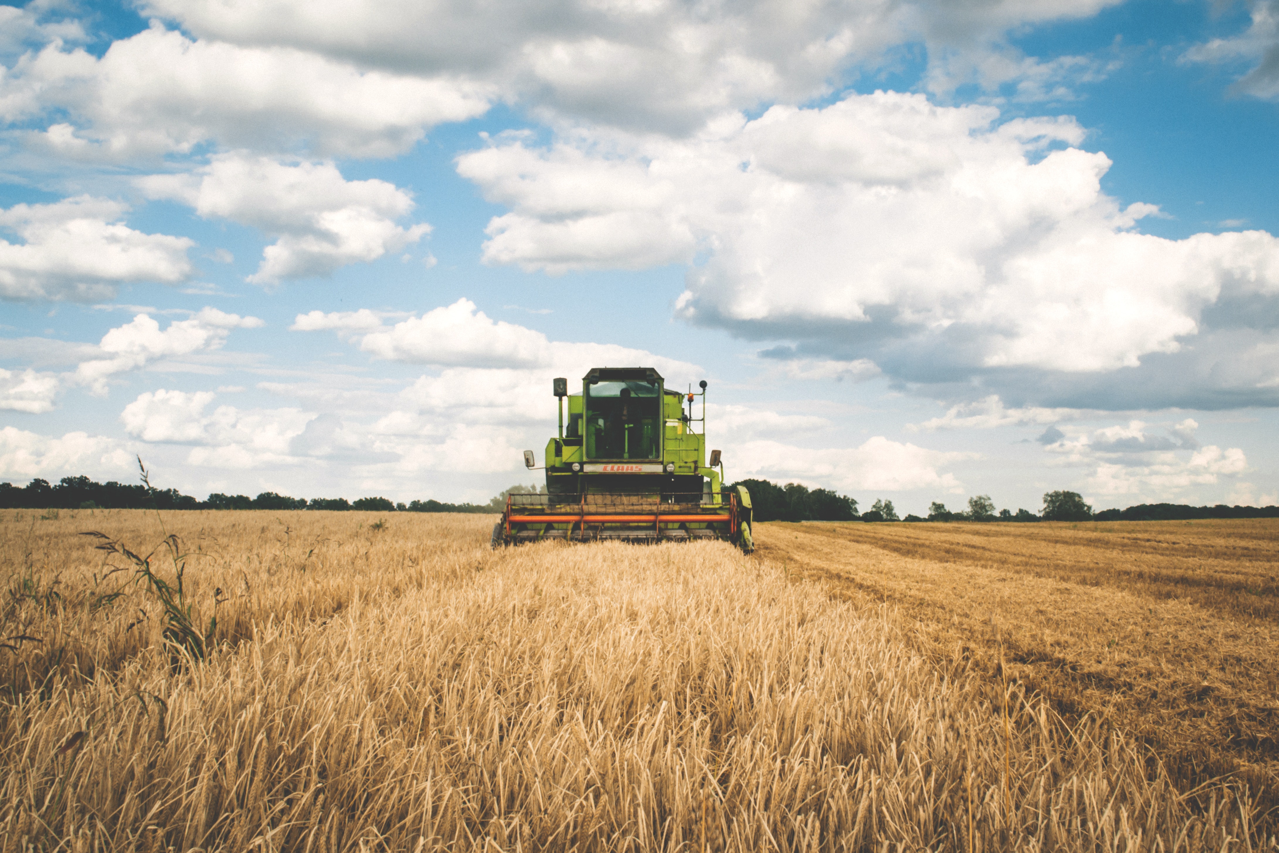 Cooperativas Agro-alimentarias estima una cosecha de 20,09 millones de toneladas