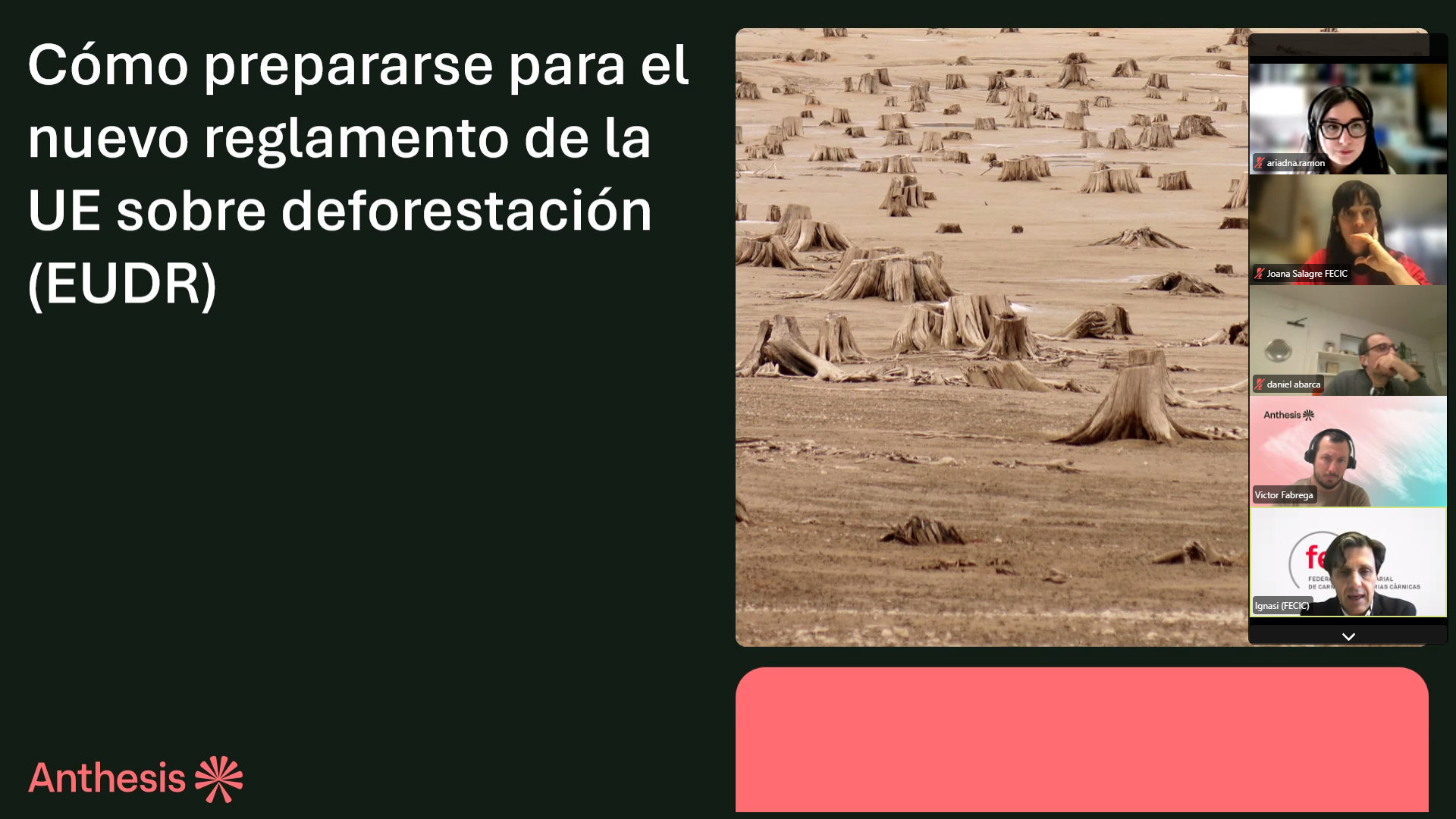 FECIC analiza cómo afectará al sector cárnico el nuevo Reglamento de Desforestación de la UE